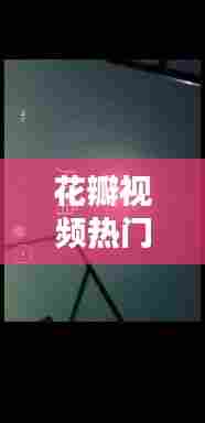 花瓣视频热门，花瓣视频剪辑 
