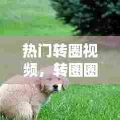 热门转圈视频,转圈圈视频配什么音乐