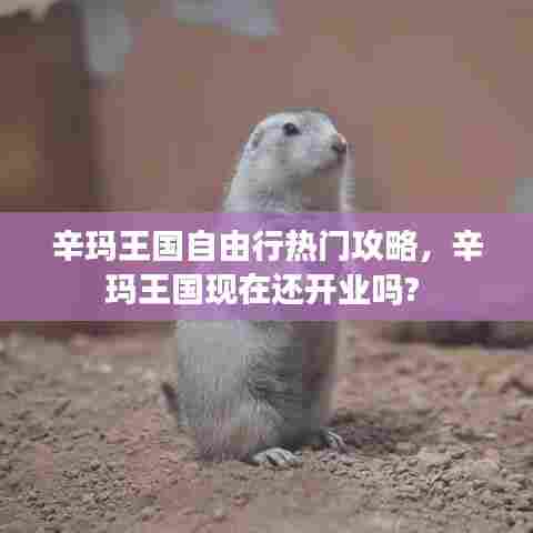 辛玛王国自由行热门攻略，辛玛王国现在还开业吗? 