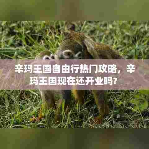 辛玛王国自由行热门攻略,辛玛王国现在还开业吗?