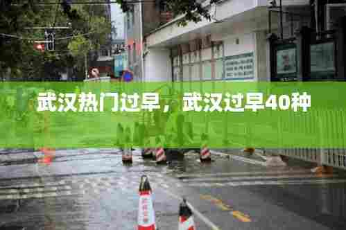 武汉热门过早,武汉过早40种