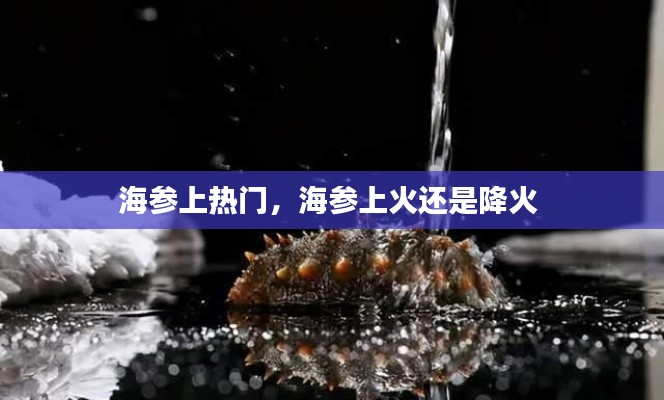 海参上热门，海参上火还是降火 