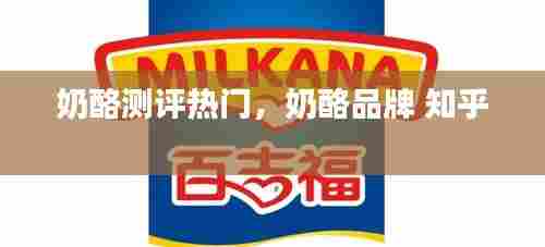 奶酪测评热门，奶酪品牌 知乎 