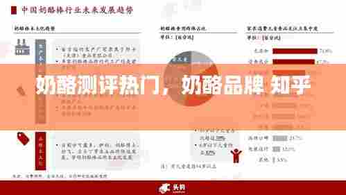 奶酪测评热门,奶酪品牌 知乎