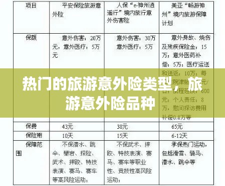 热门的旅游意外险类型,旅游意外险品种