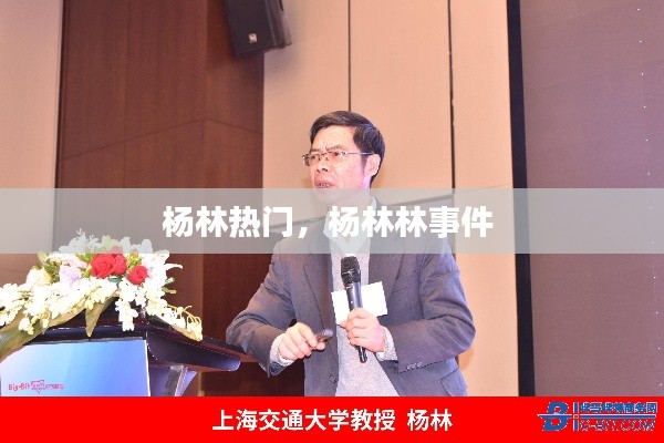 杨林热门,杨林林事件