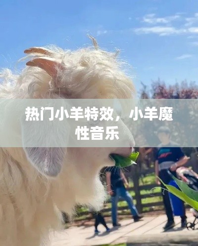 鸟语蝉鸣 第8页