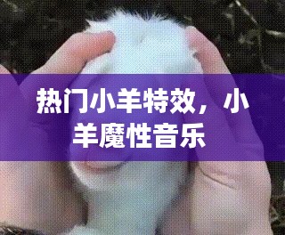 热门小羊特效,小羊魔性音乐