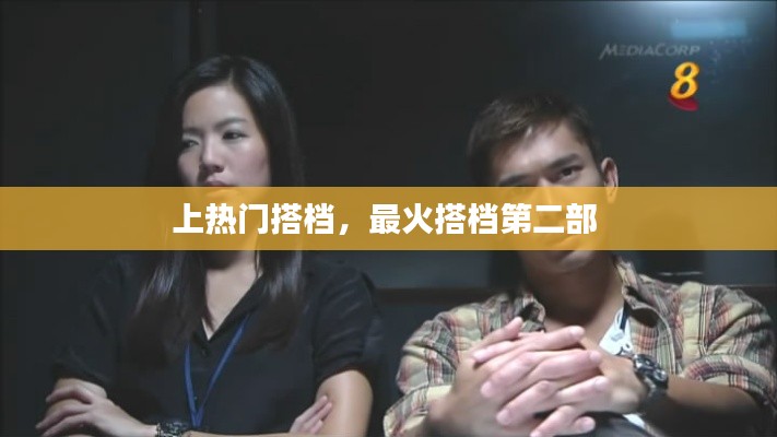 上热门搭档,最火搭档第二部