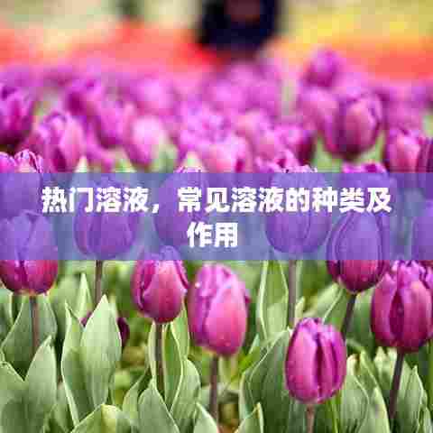 热门溶液，常见溶液的种类及作用 