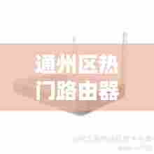 通州区热门路由器厂家，路由器厂家直销电话 