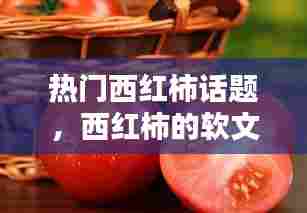 热门西红柿话题,西红柿的软文