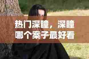 热门深瞳,深瞳哪个案子最好看