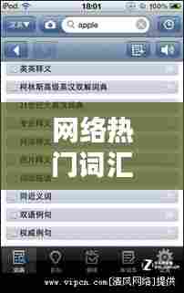 网络热门词汇,网络热门词汇2024