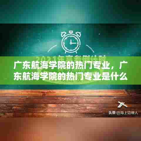 广东航海学院的热门专业，广东航海学院的热门专业是什么 