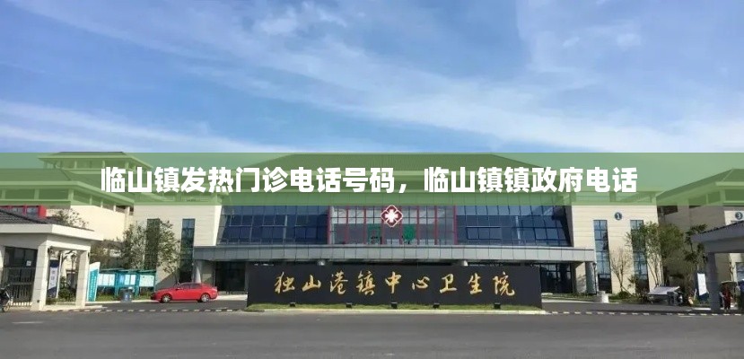 临山镇发热门诊电话号码，临山镇镇政府电话 