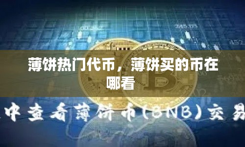 薄饼热门代币,薄饼买的币在哪看