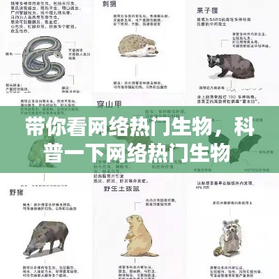 带你看网络热门生物,科普一下网络热门生物