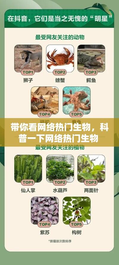 带你看网络热门生物,科普一下网络热门生物