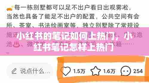 小红书的笔记如何上热门，小红书笔记怎样上热门 