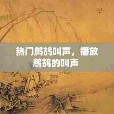 热门鹧鸪叫声，播放鹧鸪的叫声 