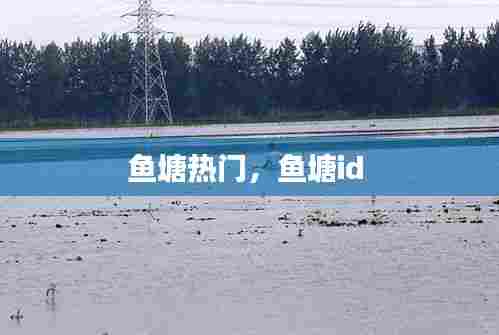 鱼塘热门，鱼塘id 