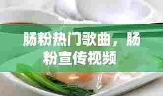 肠粉热门歌曲，肠粉宣传视频 