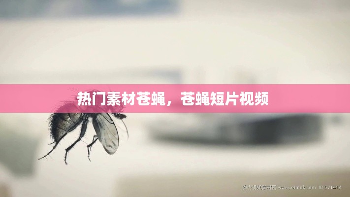 腾龙换鸟 第8页