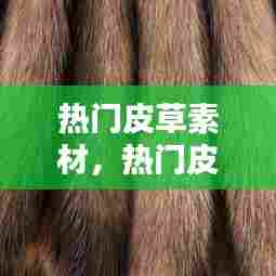 热门皮草素材，热门皮草素材视频 