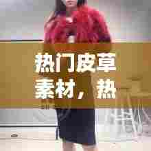 热门皮草素材,热门皮草素材视频