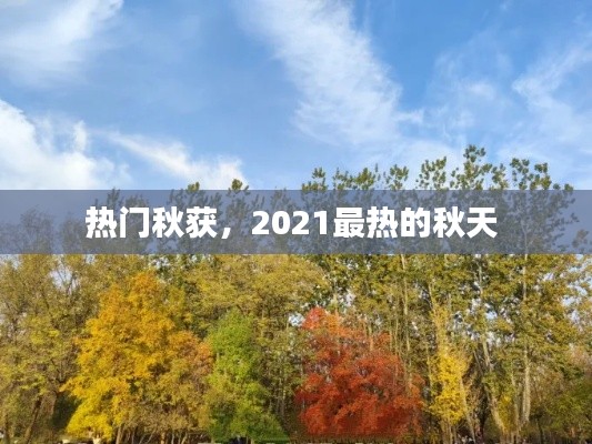热门秋获,2021最热的秋天