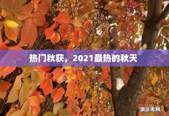 热门秋获,2021最热的秋天