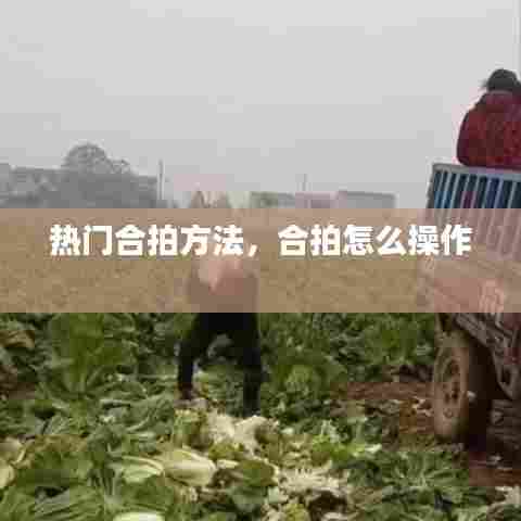 热门合拍方法,合拍怎么操作