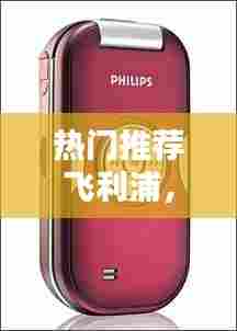 热门推荐飞利浦,飞利浦性价比