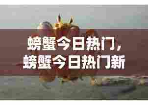 螃蟹今日热门,螃蟹今日热门新闻