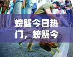 螃蟹今日热门,螃蟹今日热门新闻