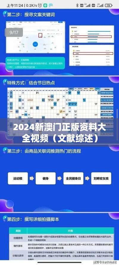 2024新澳门正版资料大全视频(文献综述)