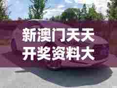 新澳门天天开奖资料大全（参考文献）