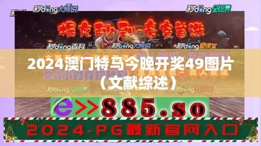 2024澳门特马今晚开奖49图片(文献综述)