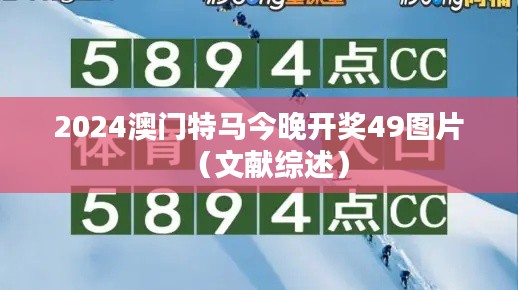 2024澳门特马今晚开奖49图片(文献综述)