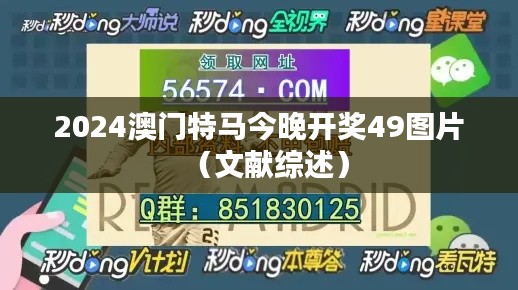 2024澳门特马今晚开奖49图片(文献综述)