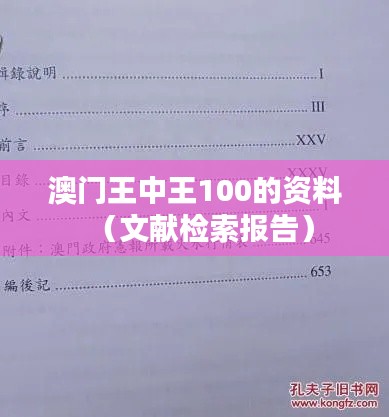 澳门王中王100的资料（文献检索报告）