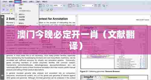 澳门今晚必定开一肖（文献翻译）
