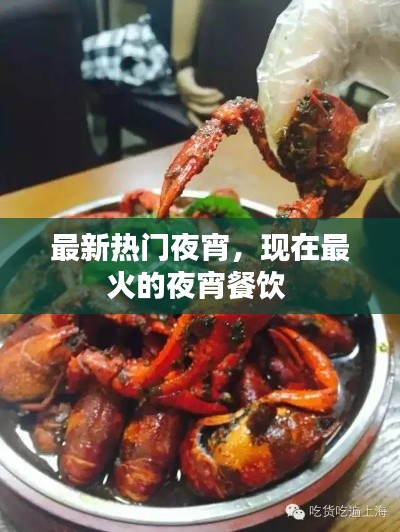 最新热门夜宵,现在最火的夜宵餐饮