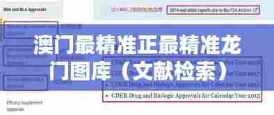 澳门最精准正最精准龙门图库（文献检索）