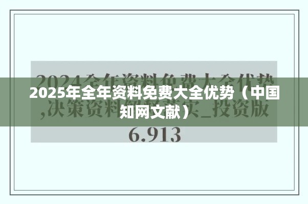 2025年全年资料免费大全优势（中国知网文献）