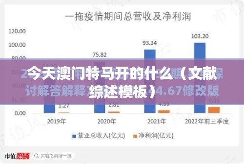 今天澳门特马开的什么(文献综述模板)