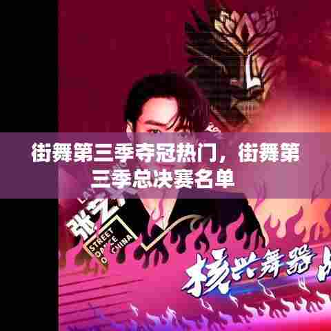 街舞第三季夺冠热门,街舞第三季总决赛名单