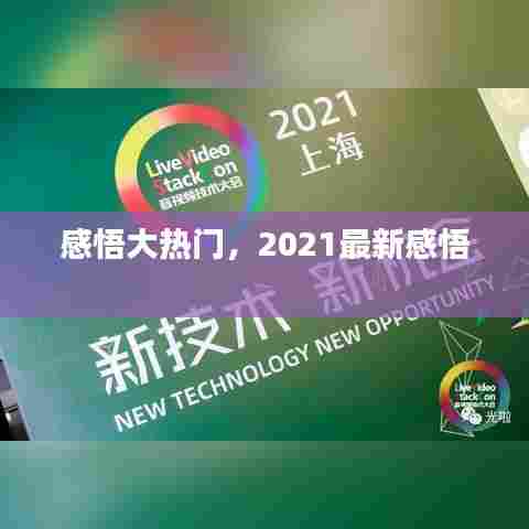感悟大热门,2021最新感悟