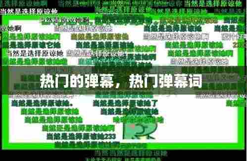 热门的弹幕,热门弹幕词